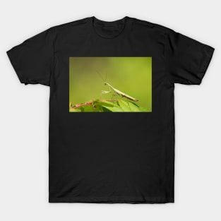 Mantis T-Shirt